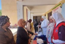الكشف على 833 مواطنًا خلال قافلة طبية مجانية بقرية البياضية في الإسماعيلية